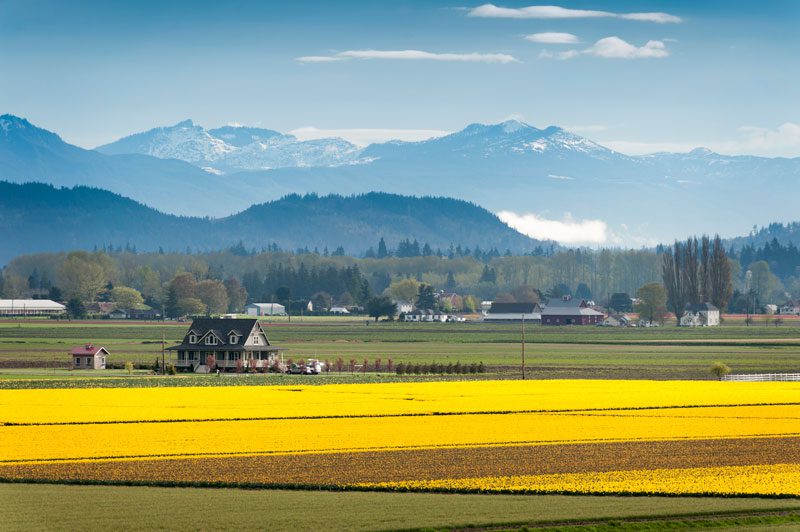 Skagit County, WA